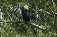 Johnna_050731_1109_.jpg 