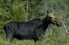 Johnna_050720_2066_.jpg 