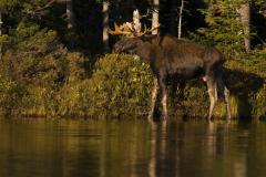 Johnna_060927_0115_.jpg 