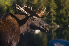 Johnna_060927_0224_.jpg 