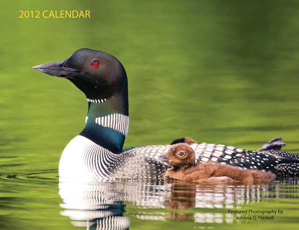 2012 Calendar